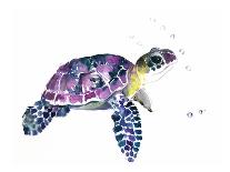 Sea Turtle-Suren Nersisyan-Art Print