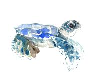 Baby Sea Turtle-Suren Nersisyan-Art Print