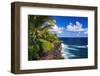 Surf and palms along the Puna Coast, The Big Island, Hawaii, USA-Russ Bishop-Framed Photographic Print