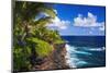 Surf and palms along the Puna Coast, The Big Island, Hawaii, USA-Russ Bishop-Mounted Photographic Print