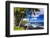 Surf and palms along the Puna Coast, The Big Island, Hawaii, USA-Russ Bishop-Framed Photographic Print