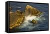 Surf and Rocks, Rocky Creek Area, Big Sur, California, USA-Michel Hersen-Framed Stretched Canvas