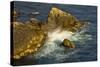 Surf and Rocks, Rocky Creek Area, Big Sur, California, USA-Michel Hersen-Stretched Canvas