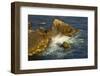 Surf and Rocks, Rocky Creek Area, Big Sur, California, USA-Michel Hersen-Framed Photographic Print