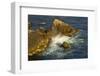 Surf and Rocks, Rocky Creek Area, Big Sur, California, USA-Michel Hersen-Framed Photographic Print