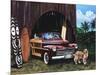 Surf Animal-Scott Westmoreland-Mounted Art Print