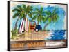 Surf Boards-Julie DeRice-Framed Stretched Canvas