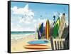 Surf Boards-Scott Westmoreland-Framed Stretched Canvas