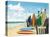 Surf Boards-Scott Westmoreland-Stretched Canvas