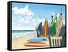 Surf Boards-Scott Westmoreland-Framed Stretched Canvas