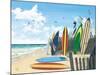 Surf Boards-Scott Westmoreland-Mounted Art Print