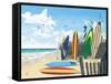 Surf Boards-Scott Westmoreland-Framed Stretched Canvas