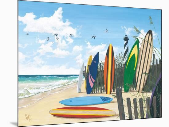 Surf Boards-Scott Westmoreland-Mounted Art Print