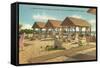 Surf Club, St. Petersburg, Florida-null-Framed Stretched Canvas