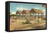 Surf Club, St. Petersburg, Florida-null-Framed Stretched Canvas