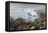 Surf in the Salt Point State Park, Sonoma Coast, California, Usa-Rainer Mirau-Framed Stretched Canvas