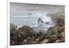 Surf in the Salt Point State Park, Sonoma Coast, California, Usa-Rainer Mirau-Framed Photographic Print