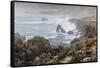 Surf in the Salt Point State Park, Sonoma Coast, California, Usa-Rainer Mirau-Framed Stretched Canvas