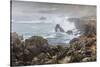 Surf in the Salt Point State Park, Sonoma Coast, California, Usa-Rainer Mirau-Stretched Canvas