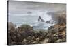 Surf in the Salt Point State Park, Sonoma Coast, California, Usa-Rainer Mirau-Stretched Canvas