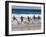 Surf Lifesavers Sprint for Water During a Rescue Board Race at Cronulla Beach, Sydney, Australia-Andrew Watson-Framed Photographic Print