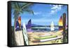 Surf N Sail-Scott Westmoreland-Framed Stretched Canvas