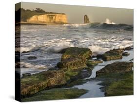 Surf on Four-Mile Beach, Santa Cruz Coast, California, USA-Tom Norring-Stretched Canvas