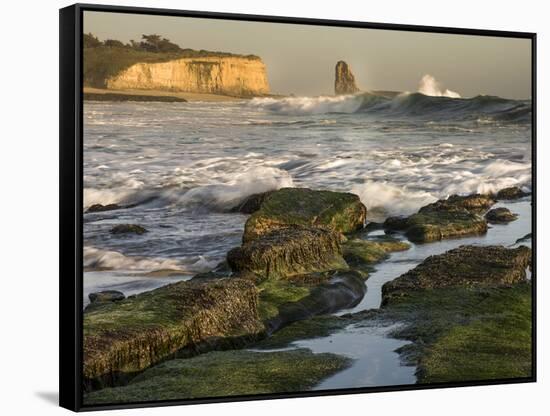 Surf on Four-Mile Beach, Santa Cruz Coast, California, USA-Tom Norring-Framed Stretched Canvas