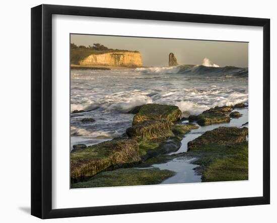 Surf on Four-Mile Beach, Santa Cruz Coast, California, USA-Tom Norring-Framed Premium Photographic Print