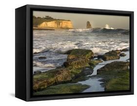 Surf on Four-Mile Beach, Santa Cruz Coast, California, USA-Tom Norring-Framed Stretched Canvas