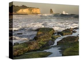 Surf on Four-Mile Beach, Santa Cruz Coast, California, USA-Tom Norring-Stretched Canvas