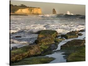 Surf on Four-Mile Beach, Santa Cruz Coast, California, USA-Tom Norring-Stretched Canvas