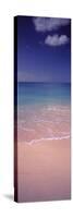Surf on the Beach, Bahamas-null-Stretched Canvas