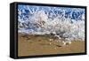 Surf on the Beach, Oahu, Hawaii, Usa-null-Framed Stretched Canvas