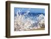 Surf on the Beach, Oahu, Hawaii, Usa-null-Framed Photographic Print