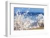 Surf on the Beach, Oahu, Hawaii, Usa-null-Framed Photographic Print