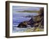 Surf on the Rocks-Barbara Chenault-Framed Art Print