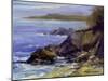 Surf on the Rocks-Barbara Chenault-Mounted Art Print