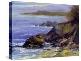 Surf on the Rocks-Barbara Chenault-Stretched Canvas