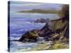 Surf on the Rocks-Barbara Chenault-Stretched Canvas