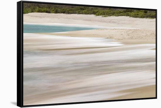 Surf pattern washing up on white sandy beach, Espanola Island, Galapagos Islands, Ecuador.-Adam Jones-Framed Stretched Canvas