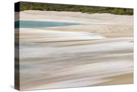 Surf pattern washing up on white sandy beach, Espanola Island, Galapagos Islands, Ecuador.-Adam Jones-Stretched Canvas