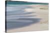Surf pattern washing up on white sandy beach, Espanola Island, Galapagos Islands, Ecuador.-Adam Jones-Stretched Canvas
