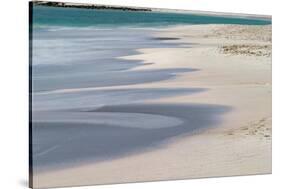 Surf pattern washing up on white sandy beach, Espanola Island, Galapagos Islands, Ecuador.-Adam Jones-Stretched Canvas