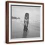Brown Frame