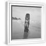 White Frame