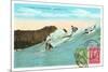 Surf Riding at Waikiki, Hawaii-null-Mounted Premium Giclee Print