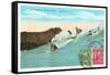 Surf Riding at Waikiki, Hawaii-null-Framed Stretched Canvas