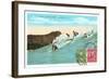 Surf Riding at Waikiki, Hawaii-null-Framed Art Print