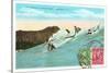 Surf Riding at Waikiki, Hawaii-null-Stretched Canvas